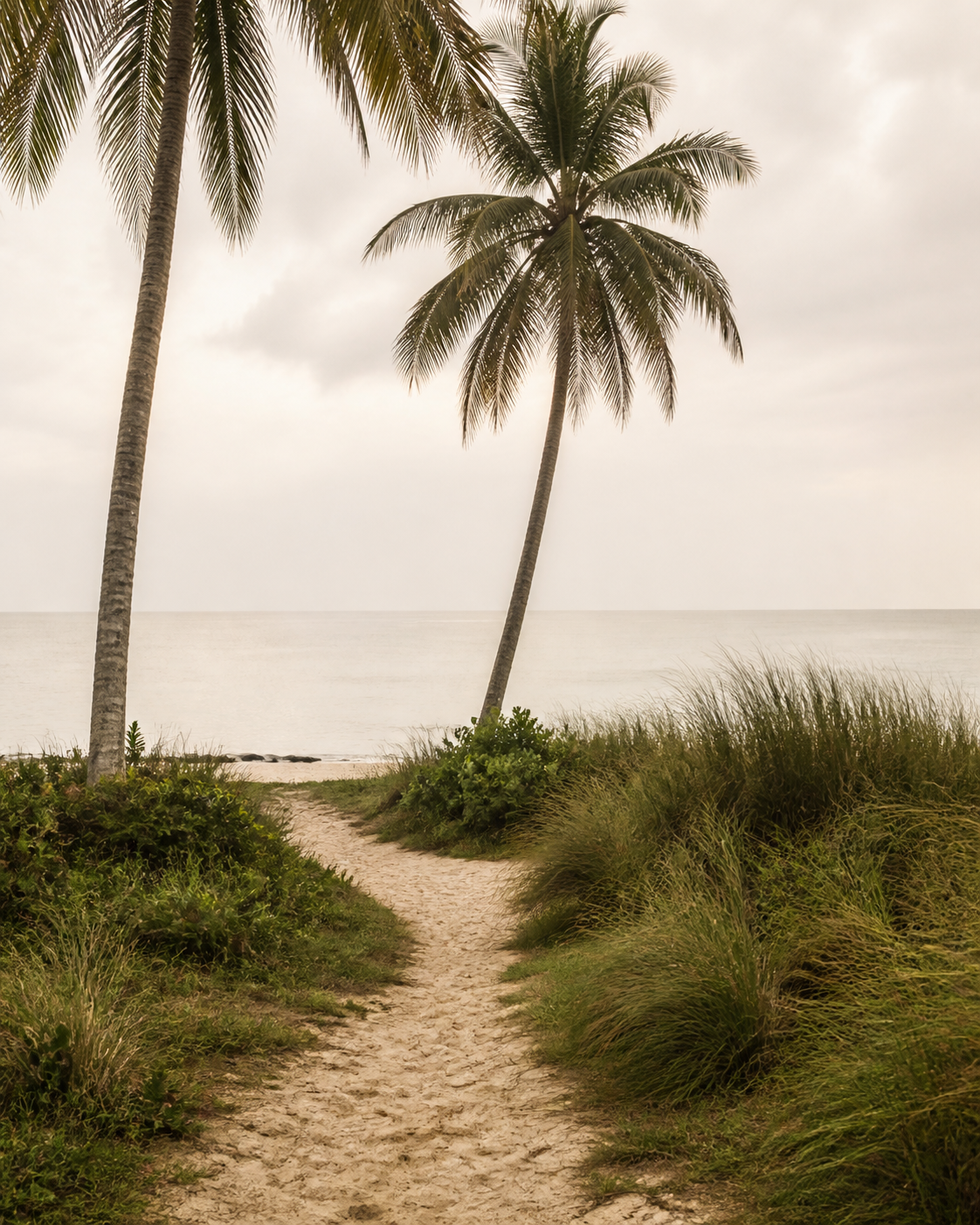 A quiet palm-lined coastal path opening toward the Kerala sea